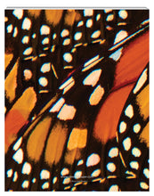 Load image into Gallery viewer, New Leaf Paper Photoreal Journal back cover featuring photography of Monarch butterfly wings
