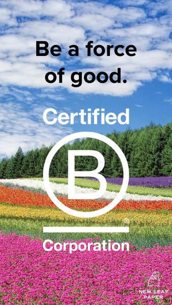 WE’RE A B CORP! BUT WHAT’S A B CORP?