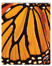 Load image into Gallery viewer, Photoreal Journal - Monarch Butterfly
