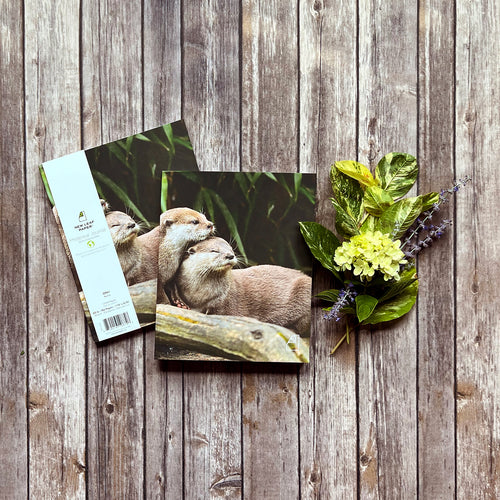 New Leaf Paper stacked Photoreal Journals featuring cover photography of otters
