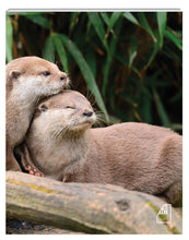 Load image into Gallery viewer, Photoreal Journal - Friendly Otters
